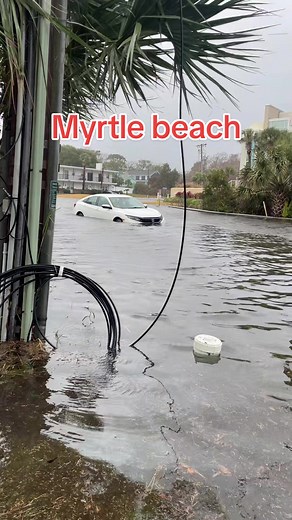 Myrtle beach cam on TikTok