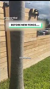 She thought she could build on my property... #shortsfeed #funfordayz98 #short #shorts #karen