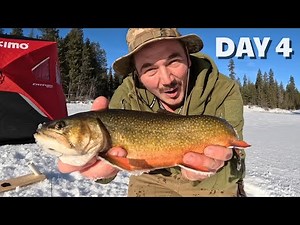 3 Wild Catch and Cook Fishing Survival Experiences in the Wilderness