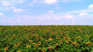 164K views · 3.7K reactions | Beautiful Israel | Eyal Asaf - Aerial Photography | Facebook