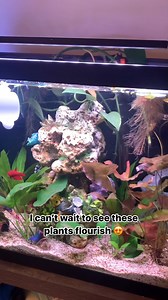 2.2K views · 31 reactions | hygger LED Aquarium Light, 22W Full...