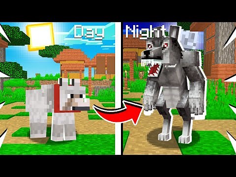 How to Turn a WOLF into a WEREWOLF in Minecraft!