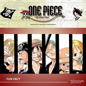 Hachette Collections on Reels | Facebook