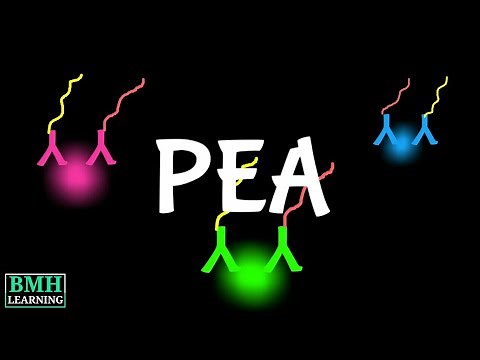 Proximity Extension Assay | PEA Technology | Olink Technology | Olink PEA | Analysis |