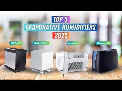 ▶️ Top 4 Best Evaporative Humidifiers | Clean, Natural Moisture for Your Home