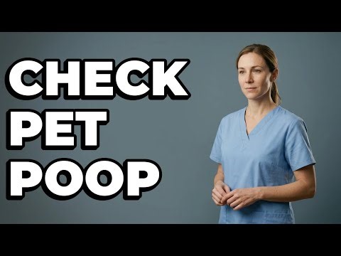 When Should You Examine Your Pet's Poop?