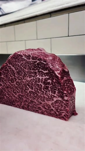 part 1 #redditstories #scifistories #scifi #writingprompts #hfy | reddit stories