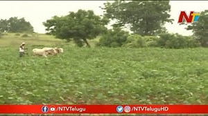8.4K views · 53 reactions | Revenue Officers Creates Fake Documents For Schemes In Adilabad #RevenueOfficers #Adilabad #NTVTelugu #NTVNews | Ntv Telugu | Facebook