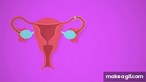 Reproductive System, Part 1 - Female Reproductive System: Crash Course Anatomy & Physiology #40 on Make a GIF