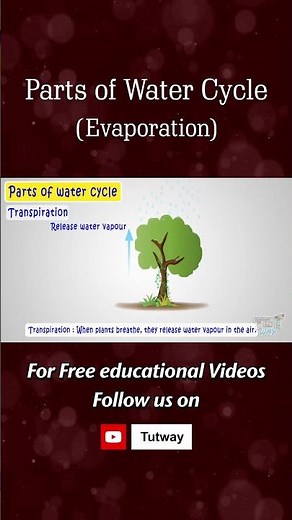 Water Cycle | Parts of Water Cycle | Evaporation | Transpiration | Water Vapour