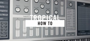 Watch: How to make tropical sounds using FM8 | Native Instruments Blog