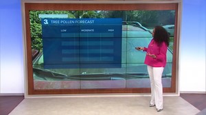 Friday Evening Forecast