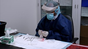 Microdissection of Mouse Brain into Functionally and Anatomically Different Regions