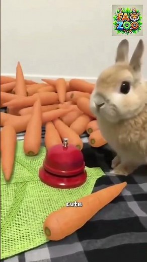 The Smallest Rabbit in the World? You Have to See This! See the full video in the comments! #facts