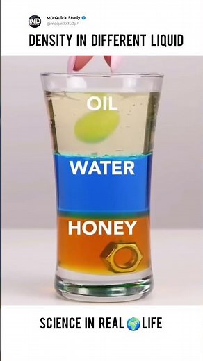 Density in Different Liquids | Floating & Sinking Experiment #science #expriment