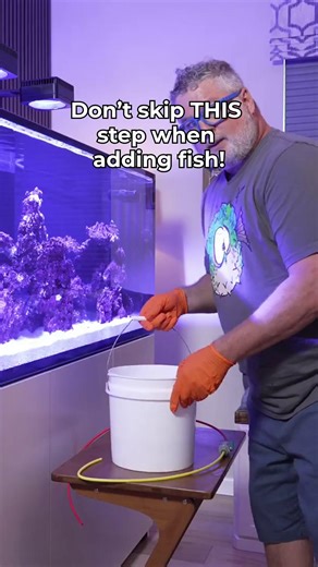 151K views · 690 reactions | Don’t skip THIS step when adding fish! #saltwatertank #FishCare #FishTank #FishKeeping | SaltwaterAquarium.com | Facebook