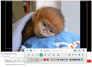 Apeaksoft Screen Recorder