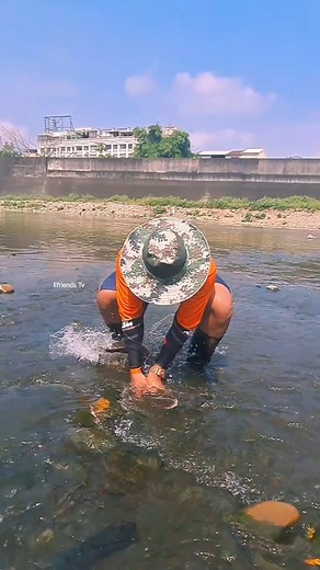 11K views · 79 reactions | [Part 2] Fighter fish   | Efriends Tv | Facebook