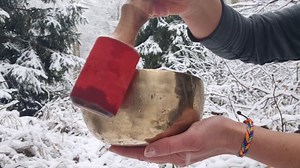 River, Stream, Forest, Nature