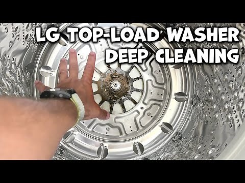 How to Remove and Clean the LG Top-Load Washer Filter
