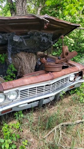 Ryan Brutt on Instagram: "This poor Impala had been sitting in this Wisconsin junkyard for a very long time. It was parted out a few years ago and the yard is now a Kwik Trip! #autoarchaeology #junkyard #impala #barnfind #barnfinds"