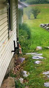 13K views · 418 reactions | It’s the gutter goblin藍 | Bean Wizard Official | Facebook