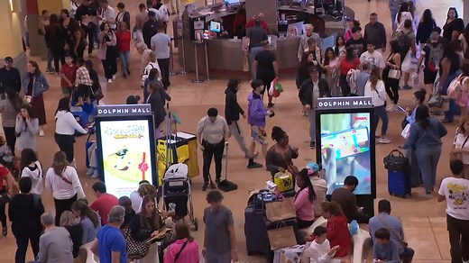 Local – WSVN 7News | Miami News, Weather, Sports | Fort Lauderdale