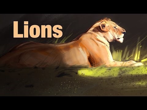 Drawing Animals - Lions