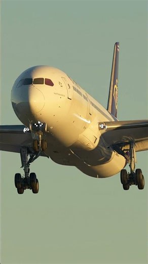 MSFS2020 Thai Airways Boeing 787-8 Dreamliner Landing at New York Airport | Ultra Realistic