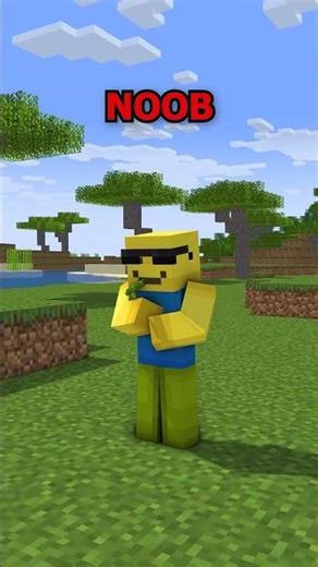 Minecraft Noob VS Pro VS Hacker VS God 💀