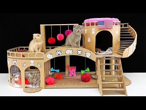 DIY Amazing Cat House for Two Beautiful Kittens