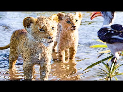 THE LION KING All Movie Clips + Trailer (2019)