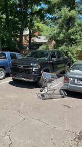 genuis hack for shopping carts 🤯 #diy #cars #shopping #dogs | Powered by Perk