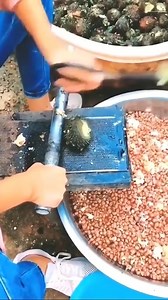 440K views · 102 reactions | Amazing French Inventions That Changed The World | Musikong Pilipino | Facebook