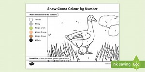 Snow Goose Colour by Number Activity