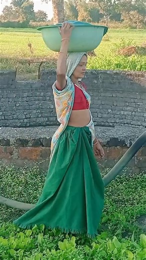 हवार हवार मा वाड़ीए किसान भाई 🌱👍@kamlipachayablogs#veloging #trendingshorts#viralvide #adivasisong