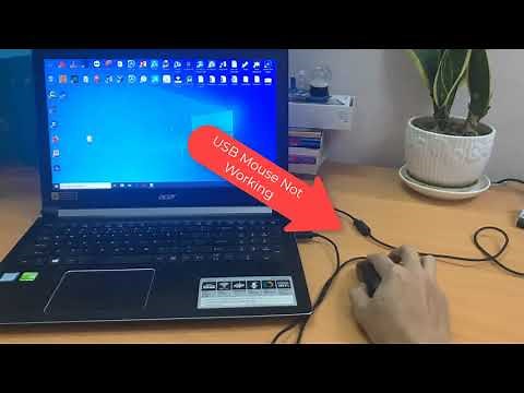 How To Fix USB Mouse Not Working on Windows 10