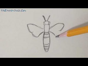 How to Draw a Bee In 11 EASY Steps - GREAT for Kids & Beginners