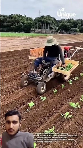 Automated seedling planter: revolutionizing small-scale farming