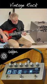 Cool presets with DarkGlass Anagram pedal & Spector CST 5 string bass