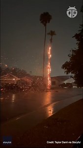 2.6K views · 106 reactions | Yikes! A palm tree caught fire in Scottsdale, Arizona after it was struck by lightning on August 4, 2022. #lightning #knowbefore | WeatherBug | Facebook