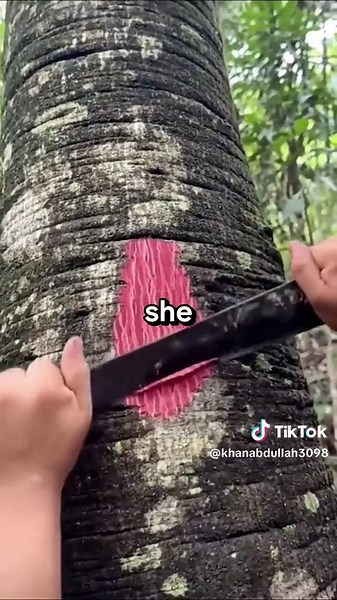 #reddit #story #fyp #storytime | when do you realize that you're the creepy one