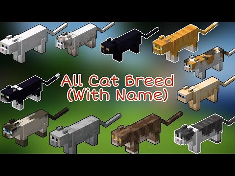 All Cat Breeds Of Minecraft |