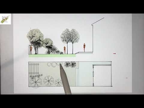 Morpholio Trace: Creating Fast, Clear Garden Elevations