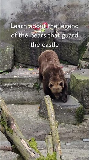 A Day in Český Krumlov