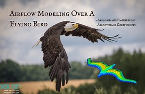 Airflow Modeling over a Flying Bird, CFD Simulation - MR CFD