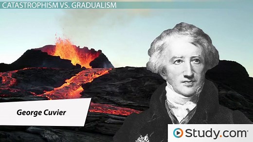 Evolutionary Change Definition, Mechanisms & Examples