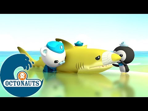 Octonauts - Le requin-citron perdu | Dessins animés pour enfants