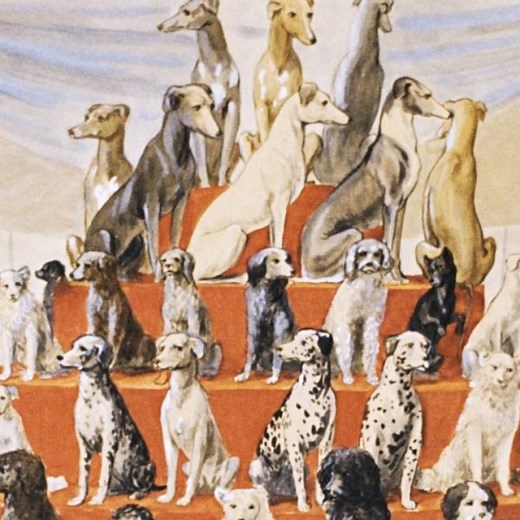 A Brief History of Dogs