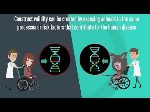 What is construct validity?